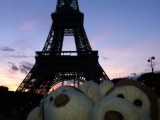 Monkey loving in Paris