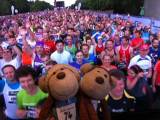 Monkey and Millie do the Great North Run