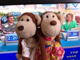 Monkey and Millie do Supermarket Sweep!